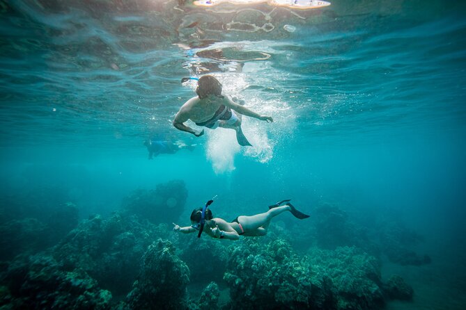 Molokini Crater Snorkel & Whale Watch Adventure (Dec 15-Mar 30) - Why Molokini + whale watch works so well together