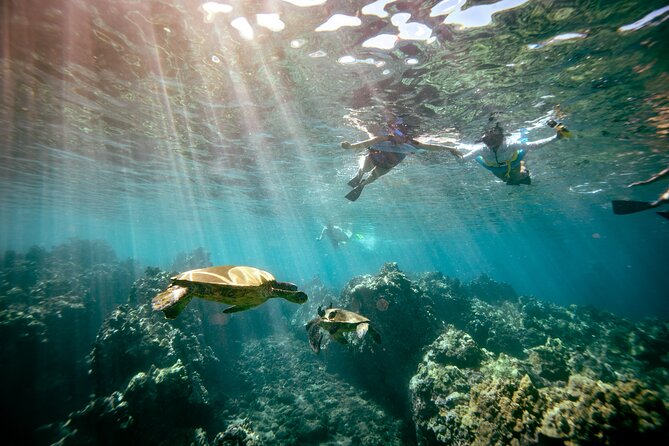 Molokini Crater Snorkel & Whale Watch Adventure (Dec 15-Mar 30) - Snorkel gear is the big value play, and it reduces friction
