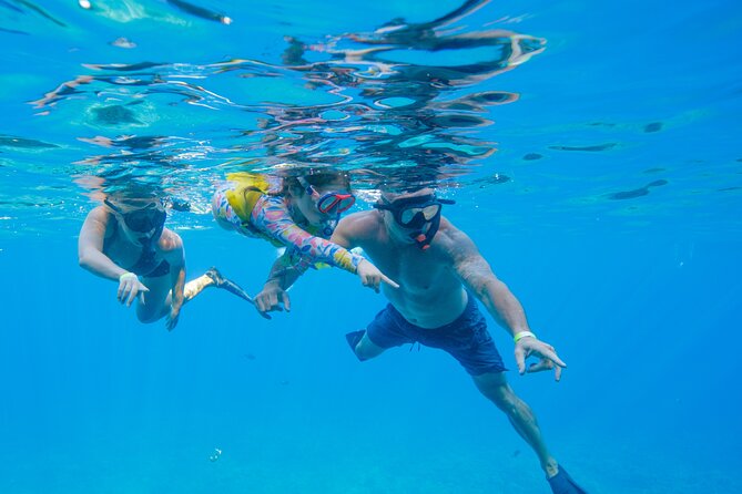 Molokini Crater Snorkel & Whale Watch Adventure (Dec 15-Mar 30) - What whale watching feels like on this route