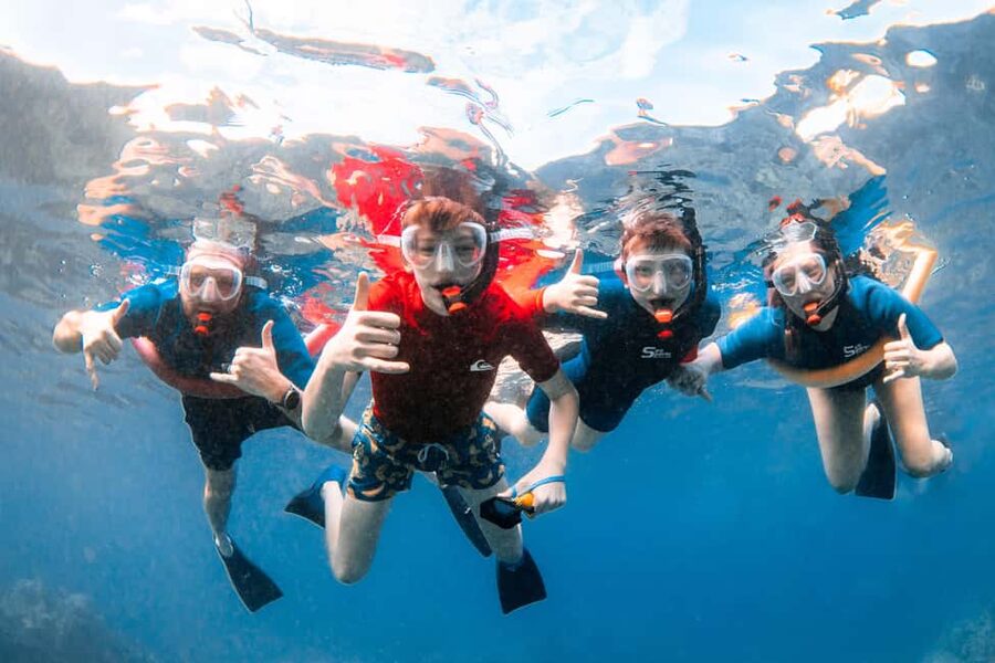 Molokini Crater Snorkel & Whale Watching (Dec 15 – Mar 30) - Inside Molokini Crater: What The One-Hour Snorkel Really Means