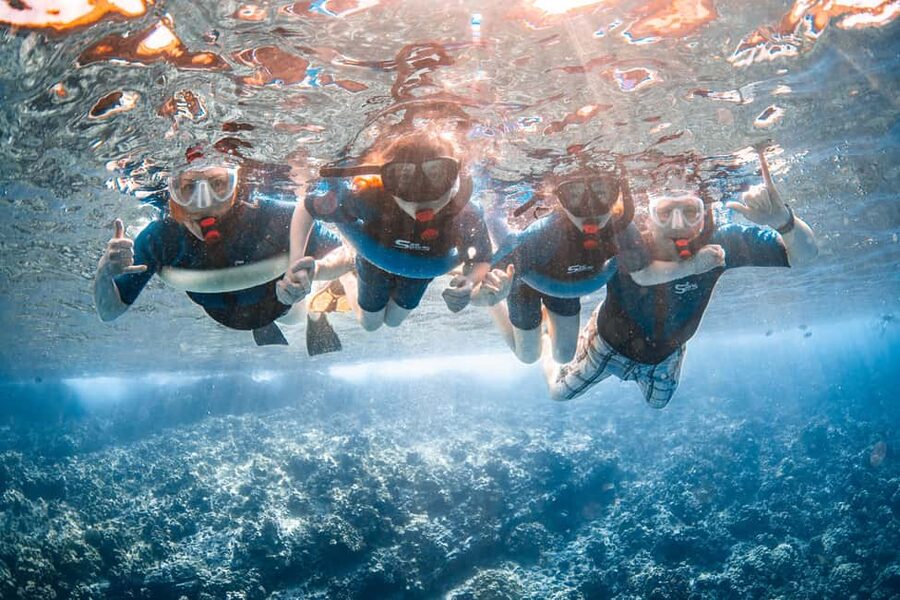 Molokini Crater Snorkel & Whale Watching (Dec 15 – Mar 30) - Price And Value: Does $149 Make Sense For Maui?