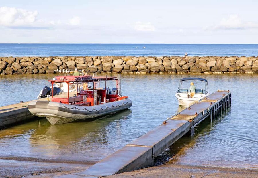 Molokini Crater Snorkel & Whale Watching (Dec 15 – Mar 30) - Should You Book Molokini Crater Snorkel And Whale Watching?