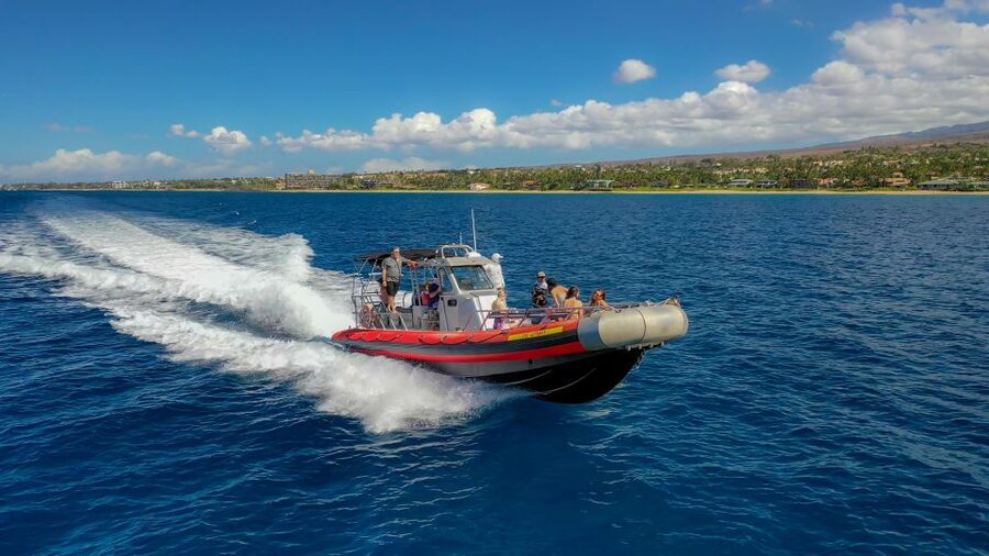 Molokini Crater Snorkel & Whale Watching (Dec 15 – Mar 30) - Getting To The Getaway: Kihei Meeting Point And The Pre-Splash Briefing
