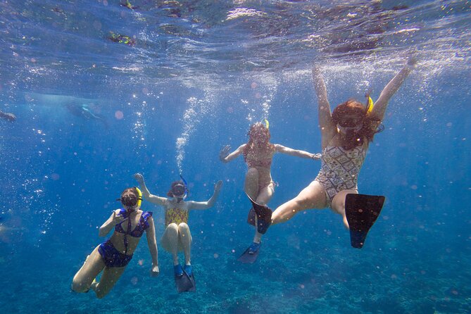 Molokini Snorkel and Performance Sail: Mā’alaea Harbor - Key things I’d pack your mind with