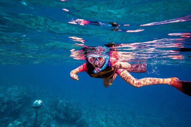 Molokini Snorkel and Performance Sail: Mā’alaea Harbor - Your Molokini hour: fitting up, getting into the water, then spotting fish