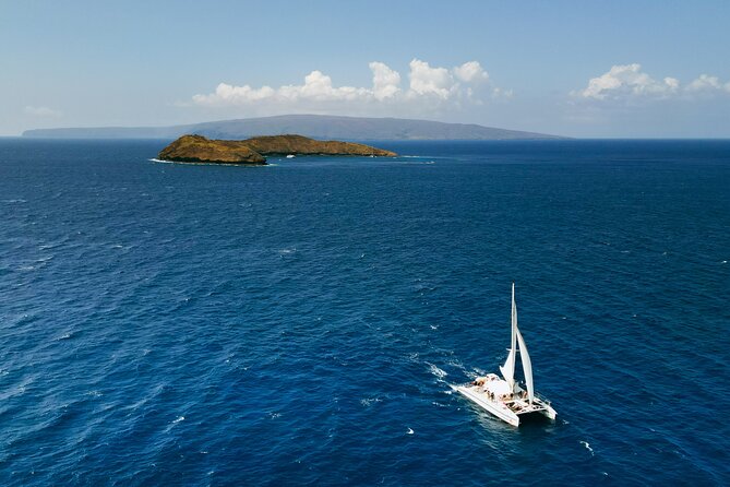 Molokini Snorkel and Performance Sail: Mā’alaea Harbor - Sailing plus wildlife spotting: whales and dolphins often join the party