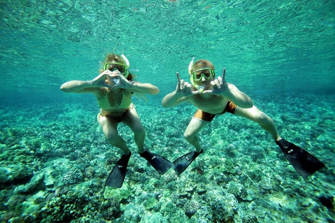Molokini Snorkel and Performance Sail: Mā’alaea Harbor - Price and value: $200 is not cheap, but it is built-in value