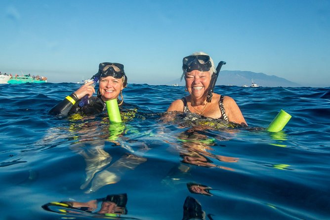 Molokini & Turtle Adventure: Small Group from Ma'alaea Harbor - Key highlights