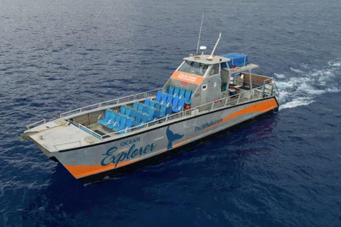 Molokini & Turtle Adventure: Small Group from Ma'alaea Harbor - Getting to Maalaea Harbor: the 7:45 am start that shapes the whole day