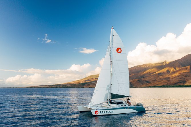 Morning Whale Watch: Lahaina Harbor - Key highlights you’ll care about