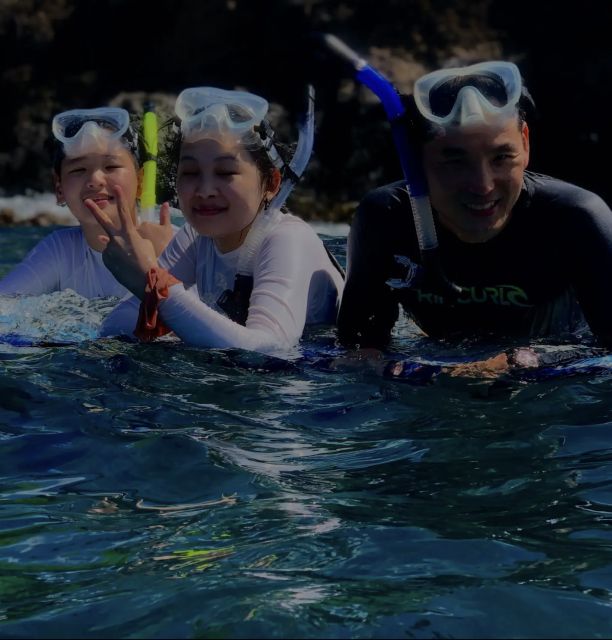 Night Time Snorkel At Turtle Town With Lights And Stars - Price and Value: Is $129 for 90 Minutes Worth It?