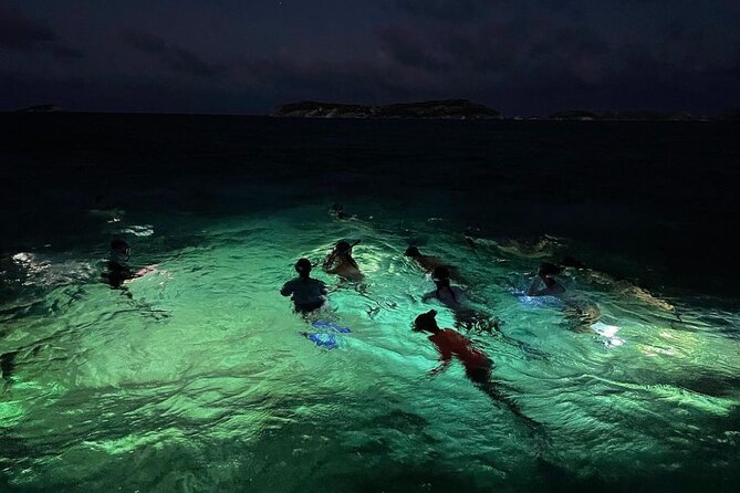 Night-Time Snorkel at TurtleTown with Stars, Lights, and Photos - The Lights, the Route, and What You Will Actually See
