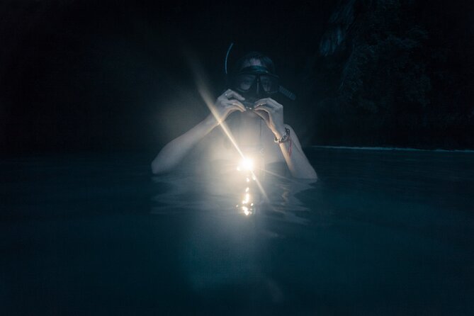 Night-Time Snorkel at TurtleTown with Stars, Lights, and Photos - Gear and Safety: What Is Included, and Why It Matters
