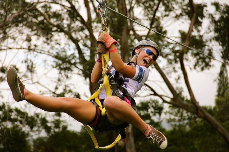 North Maui: 7 Line Zipline Adventure with Ocean Views - Quick hits before you go