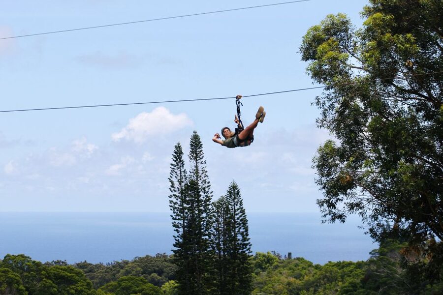 North Maui: 7 Line Zipline Adventure with Ocean Views - North Maui ziplining above eucalyptus, with ocean air in the mix