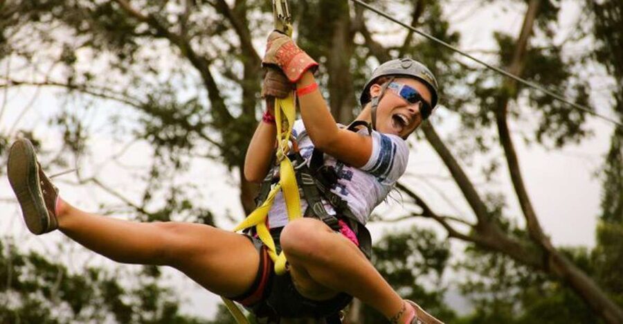 North Maui: 7 Line Zipline Adventure with Ocean Views - The 7-line course: eucalyptus canopy, bridges, and the Grand Slam finale