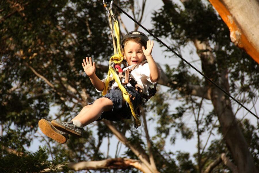 North Maui: 7 Line Zipline Adventure with Ocean Views - Why Camp Maui Museum time adds real value