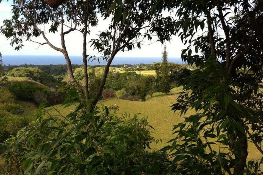 North Maui: 7 Line Zipline Adventure with Ocean Views - What you get for $155, and where the extra money shows up