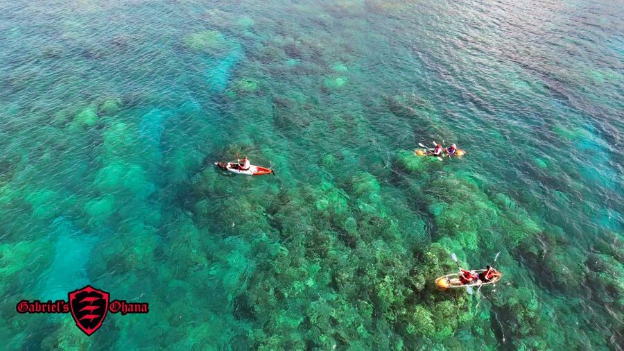 Olowalu: Guided Clear Kayak Tour - Unlimited - Price and Value at $129 Per Person, Plus the UHMC Donation