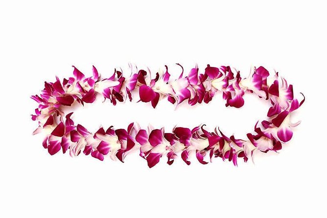 Orchid Airport Lei Greeting (Maui, Kahului Airport, OGG) - Who should book this Orchid airport lei greeting