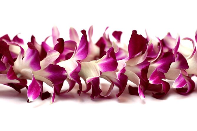 Orchid Airport Lei Greeting (Maui, Kahului Airport, OGG) - The lei moment: fresh, unscented, and photo-friendly