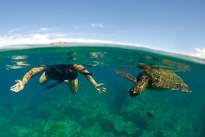 Paddle, Snorkel and Learn to Surf: All in a Day on Maui - Quick hits for this Maui water day