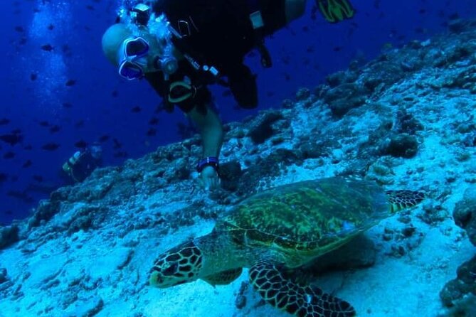PADI Scuba Lesson and Shore Dive in Maui - The Shore Session: From Beach Entry to Sea Life