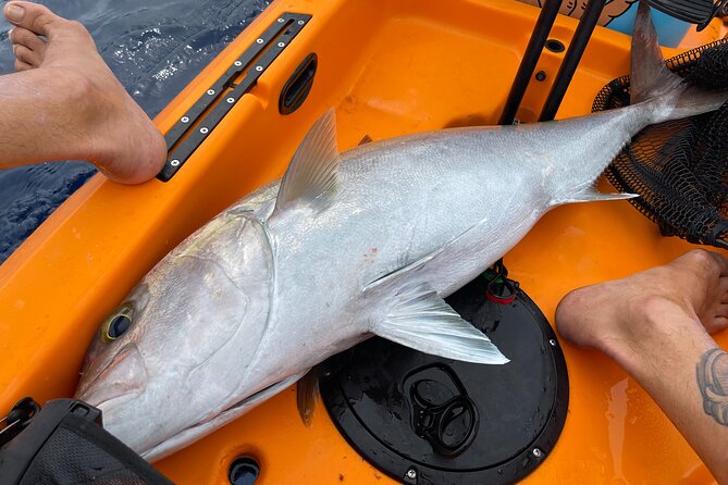 Pelagic Kayak Fishing Charter Lahaina - Kayak Fishing Setup and Included Gear That Saves You Time