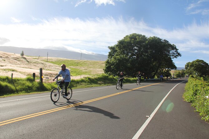 Predawn-Morning Haleakala Bike Tour 6,500 to Sea Level - Historic Makawao and the snack break that locals actually recommend