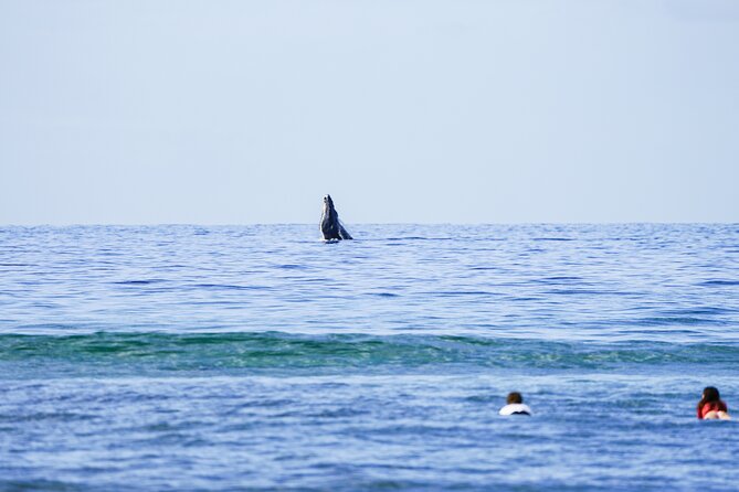 Private 2 hour Surf Lessons with Experienced Coaches - Private 2 Hours on Maui: How the Lesson Fits Your Day