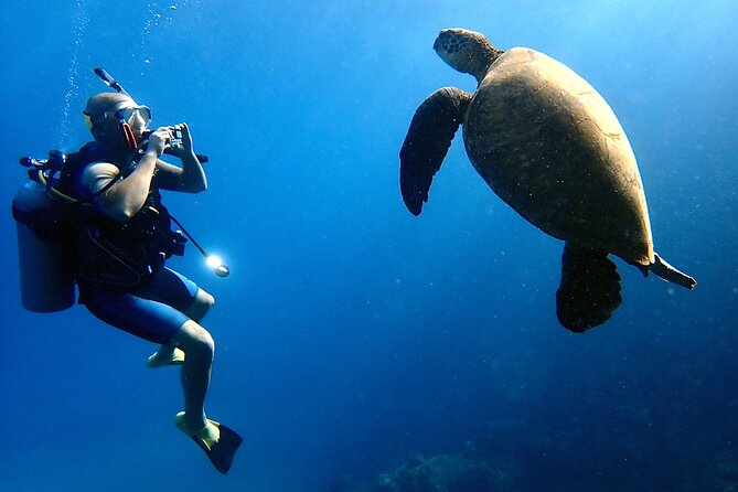 Private and Personalized Scuba Diving Adventures for All Experience Levels - Why this feels different than typical Maui water tours