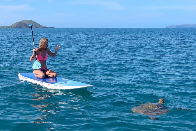 Private Beginner Paddleboard 101 Lesson: Makena Landing! - The 2-Hour Flow: Shore Training, Then Your Turtle Town Paddle