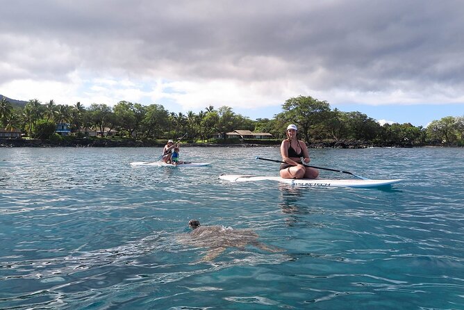 Private Beginner Paddleboard 101 Lesson: Makena Landing! - Wildlife Spotting While You Learn the Basics