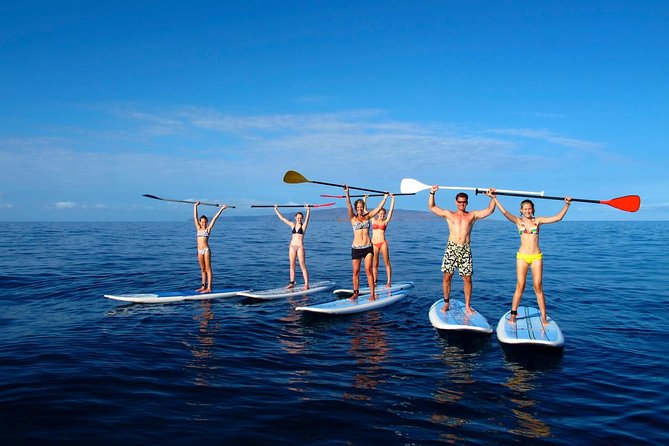 Private Beginner Paddleboard 101 Lesson: Makena Landing! - Meet at Makena Alanui, Then Back Again