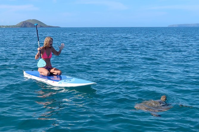 Private Beginner Paddleboard Lesson with Snorkel in Turtle Town - Turtle Town SUP and snorkel, what this lesson really delivers