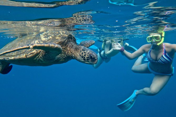 Private Beginner Paddleboard Lesson with Snorkel in Turtle Town - Learning stand up paddleboarding with patience, not pressure