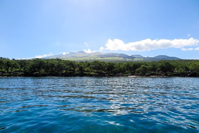 Private Beginner Paddleboard Lesson with Snorkel in Turtle Town - What to wear and bring so your day feels easy