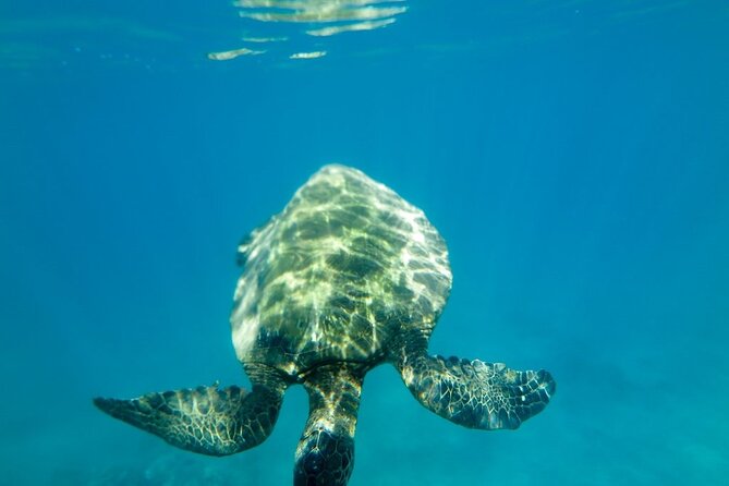 Private Beginner Paddleboard Lesson with Snorkel in Turtle Town - From Makena Landing Park to the Wailea coastline in about 2 hours