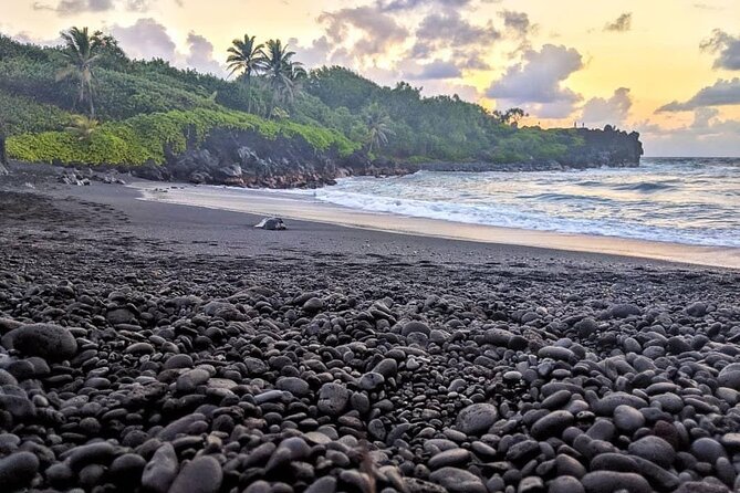 Private Full Day Hana Jeep Tour - Price and value for a $1,159 group day