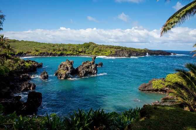Private Full-Day Waterfall Beach and Jungle Tour of Maui - Red Sand Beach Hike Limits, Then Venus Pool Cooling Off