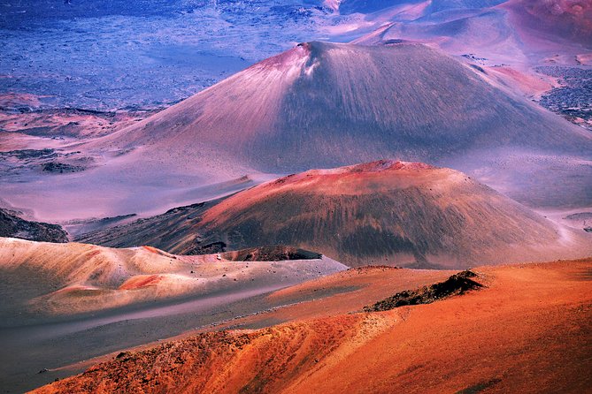 Private Haleakala Summit & Stroll from Kahului - Hosmer’s Grove: the easiest hike that feels like a big deal