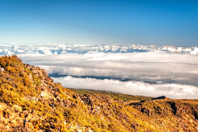 Private Haleakala Summit & Stroll from Kahului - Who this tour is best for, and who should think twice