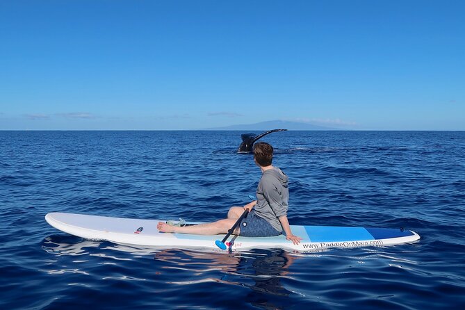 Private Paddleboard (SUP) Whale Watch: All Skill Levels Welcome - Why a private SUP whale watch in Makena makes sense