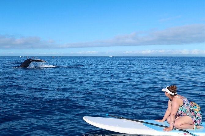 Private Paddleboard (SUP) Whale Watch: All Skill Levels Welcome - Who should book this (and who should consider another style)