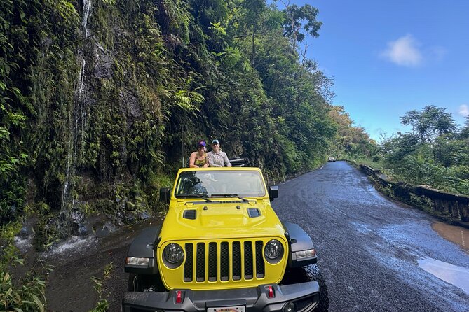 Private Road to Hana Maui Open-Air Jeep Tour - Bamboo Forest Moments and the Hana Highway Rainbow Eucalyptus Stop