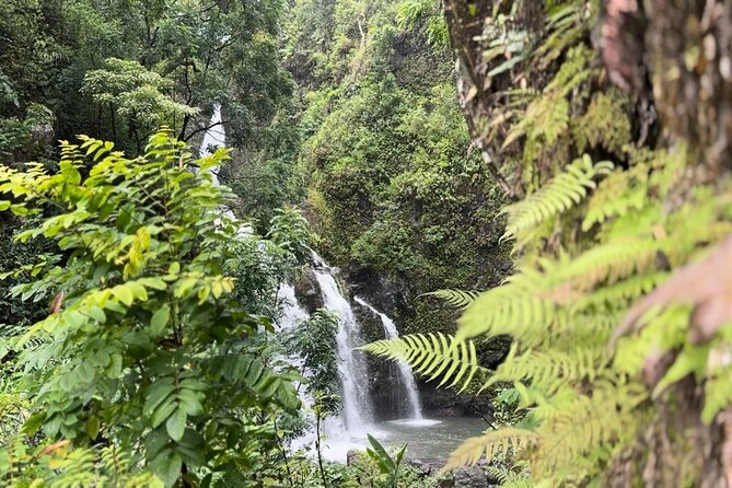 Private Road to Hana Maui Open-Air Jeep Tour - Puaa Kaa State Park and Black Sand Beach With Real Swim Safety Notes