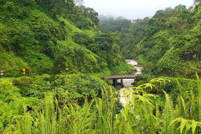 Private Road to Hana or any Maui destination in Luxury Mercedes Sprinter - The driver does more than drive: live commentary, local context, and calm control