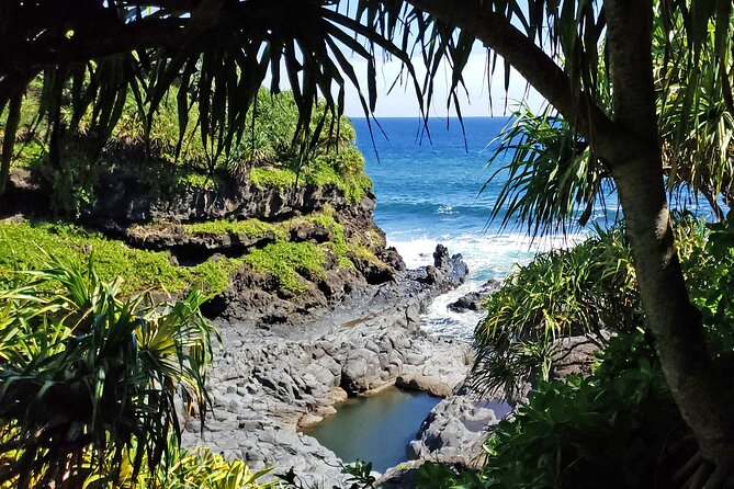 Private Road to Hana or any Maui destination in Luxury Mercedes Sprinter - Price and logistics: when $2,759.99 per group is a smart move