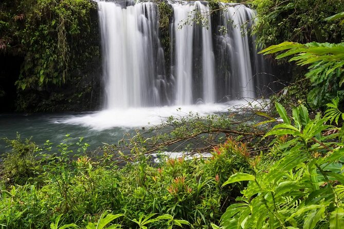 Private Road to Hana Rainforest & Waterfall Experience from Maui - The highlights you’ll remember on Maui