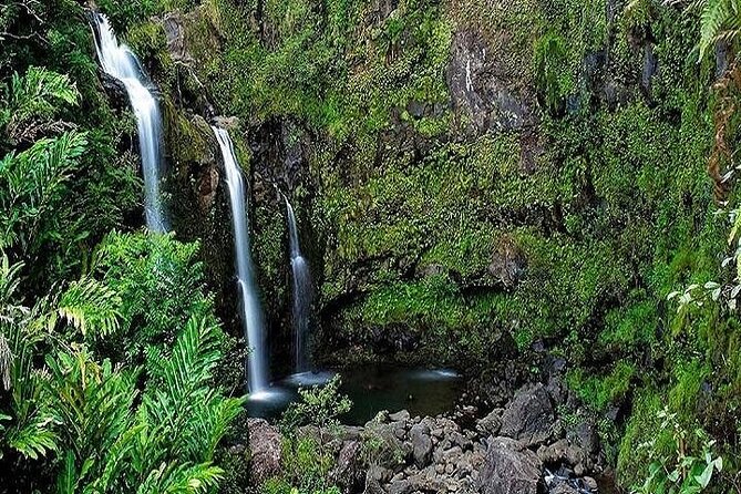 Private Road to Hana Rainforest & Waterfall Experience from Maui - What you’re really buying with a private Road to Hana tour